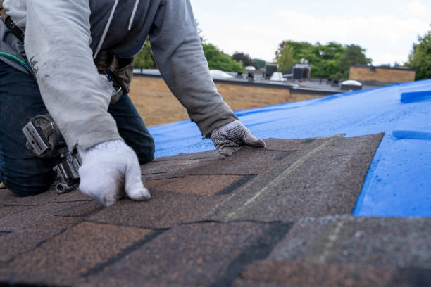 Best Metal Roofing Contractor  in Manatee Road, FL